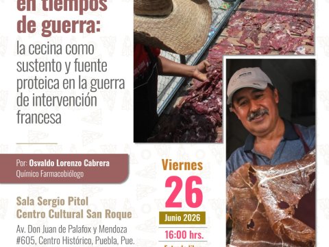 Alimentar en Tiempos de Guerra: