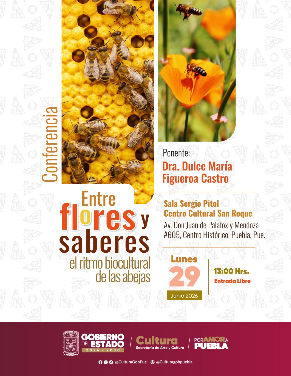 Entre Flores y Saberes