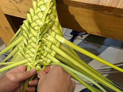 Taller de Tejido en palma