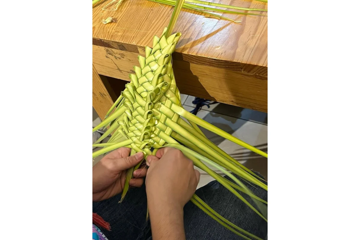 Taller de Tejido en palma