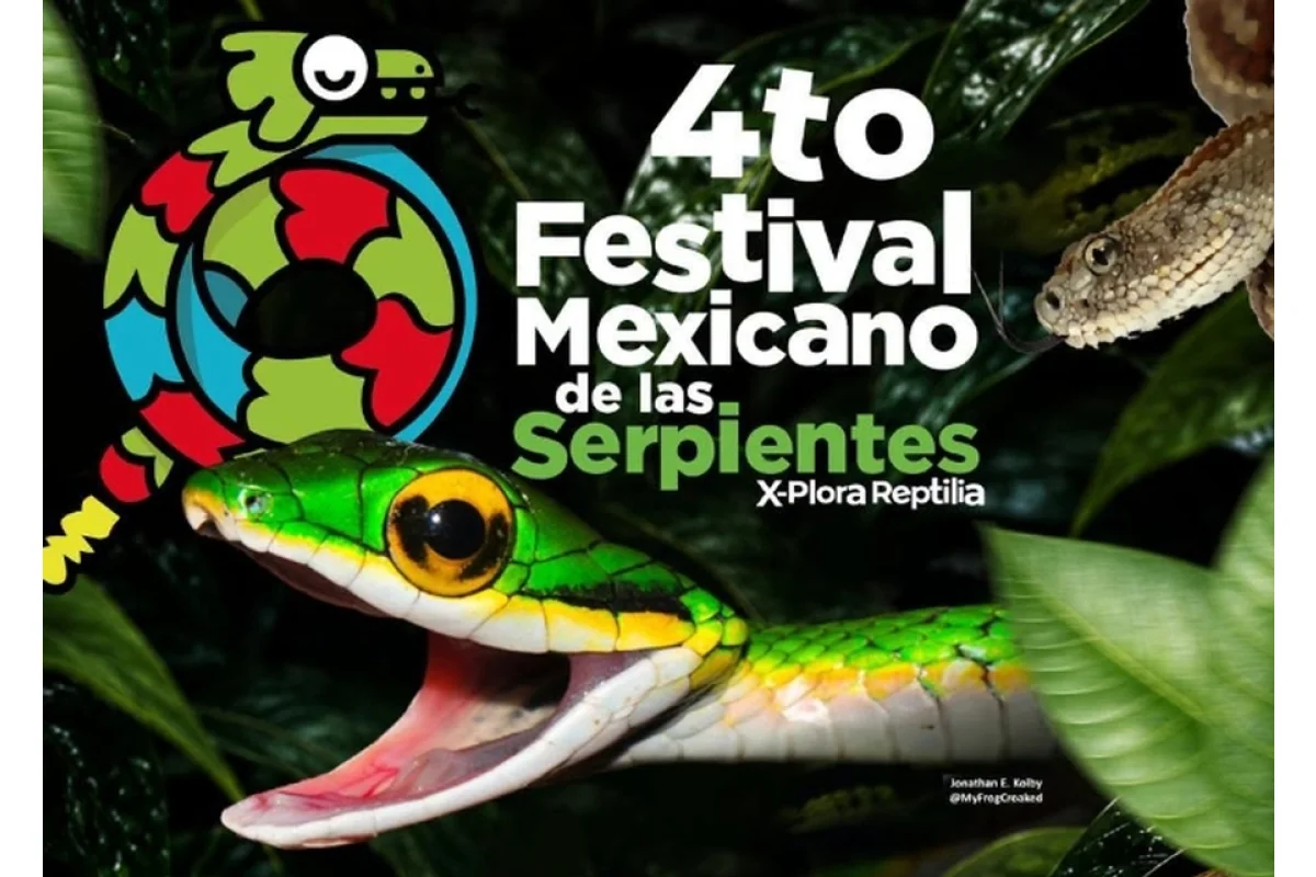 4to Festival Mexicano de las Serpientes: X-Plora Reptilia
