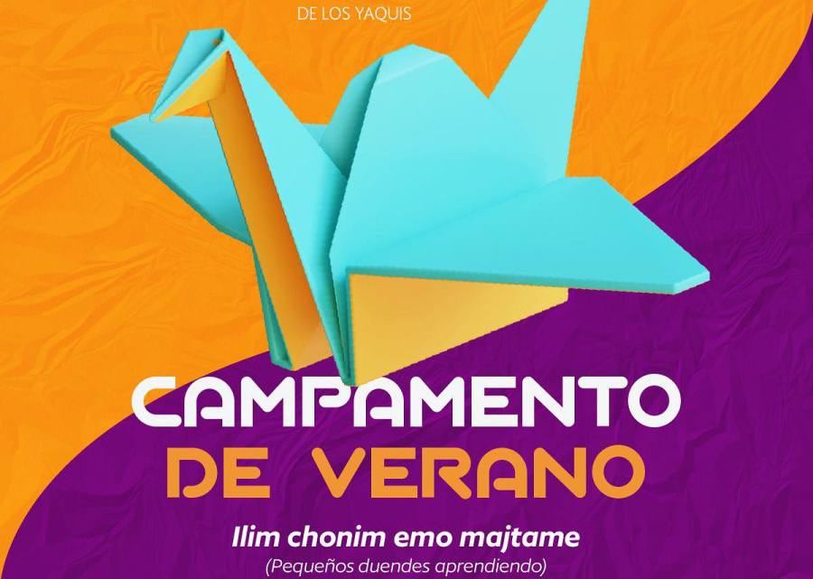 Campamento de verano