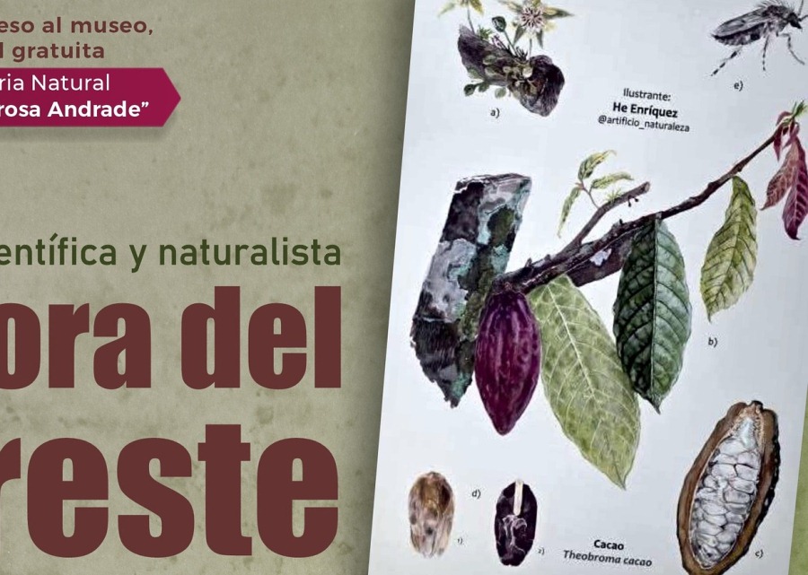 La flora del sureste