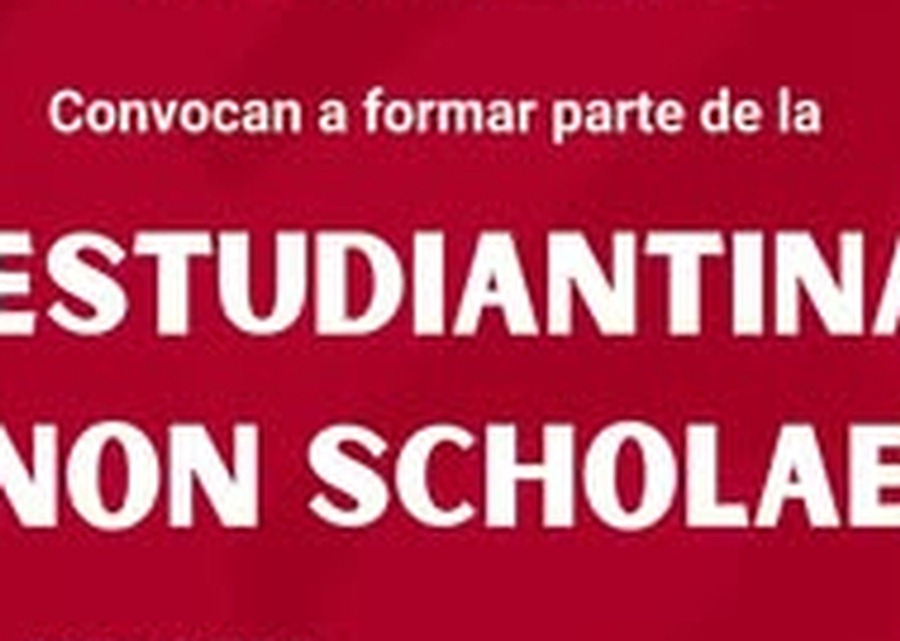 Non Scholae