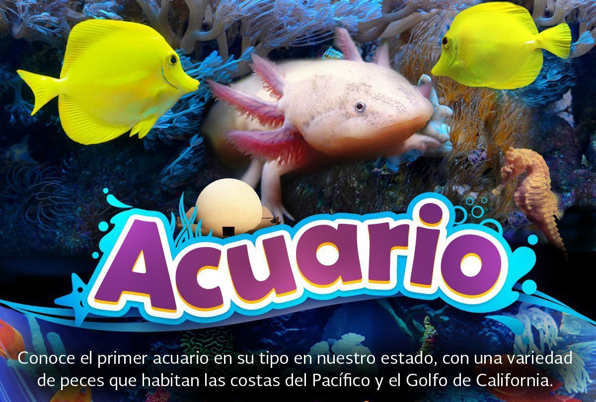 Acuario