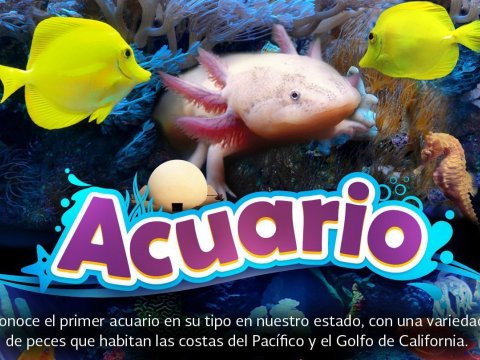 Acuario