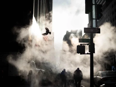 Charla con Phil Penman: Street Photography Unfiltered