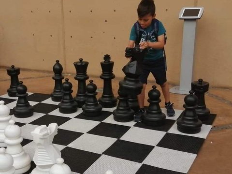 Ajedrez