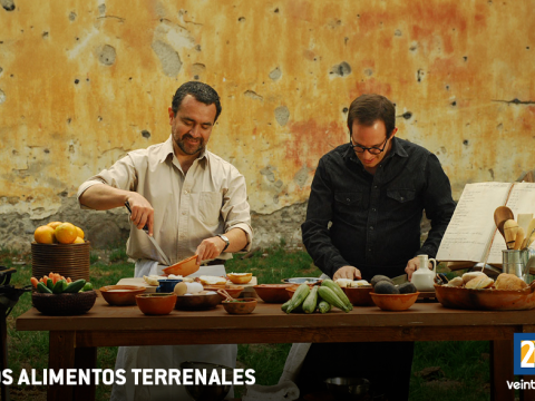 Los alimentos terrenales