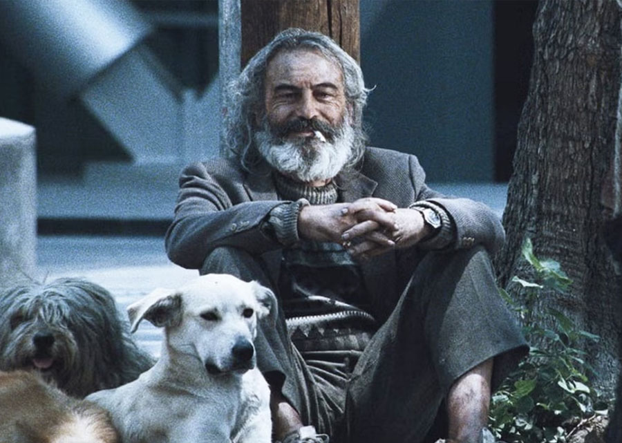 Amores Perros