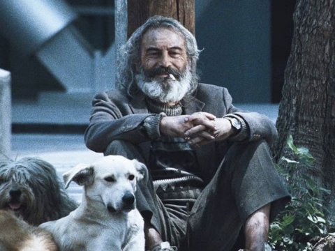 Amores Perros