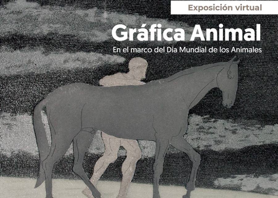 Gráfica Animal