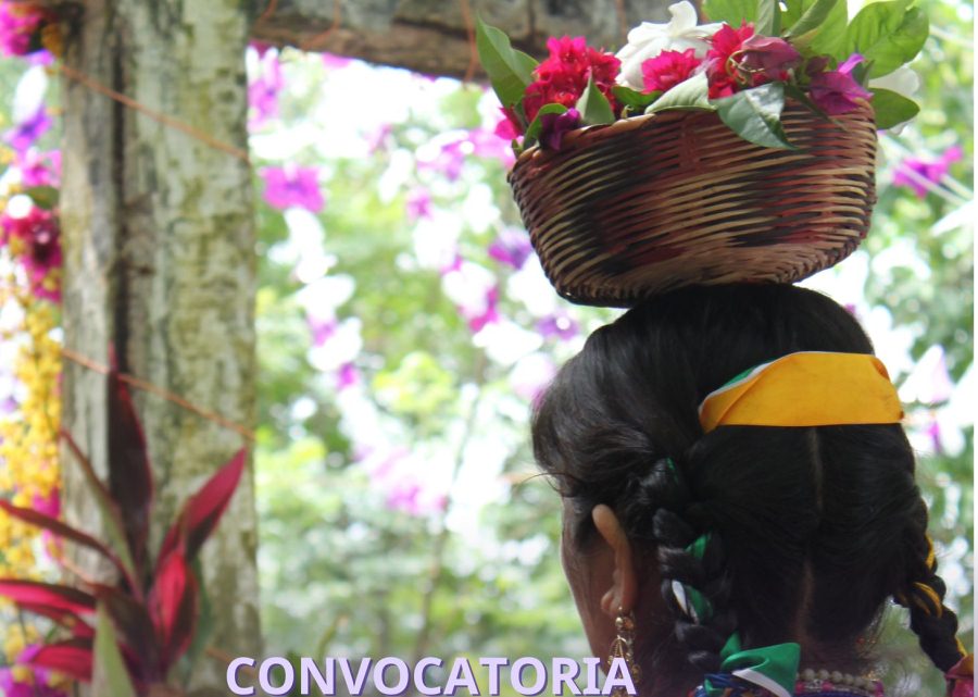 Convocatoria de fotografía