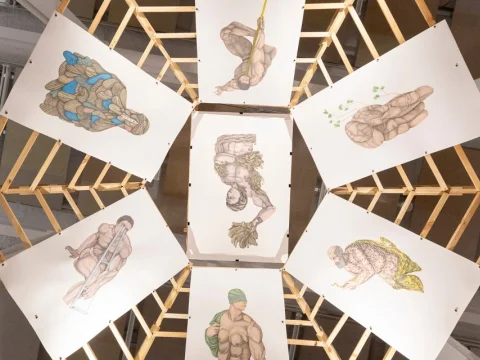 Dibuja tu propio bestiario