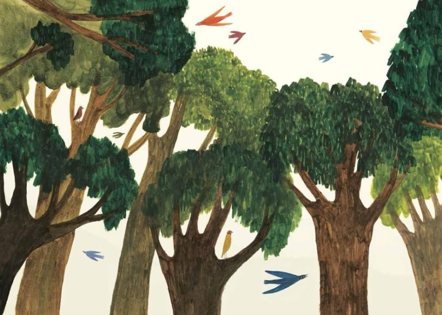Bosque de texturas