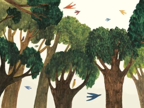 Bosque de texturas