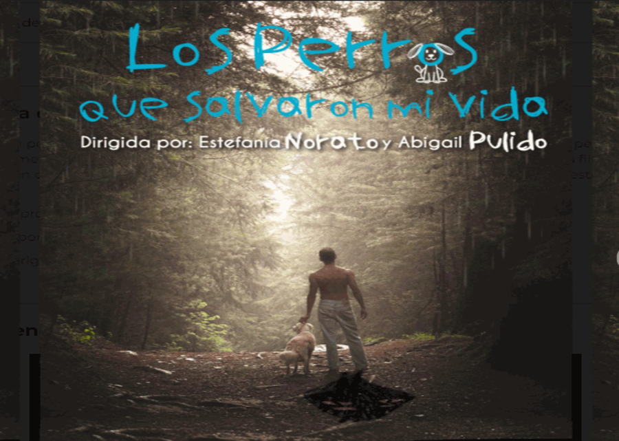 Los perros que salvaron mi vida