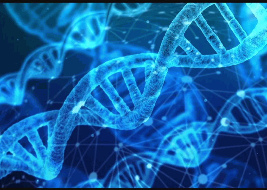Noventa por ciento epigenética y diez por ciento humanos