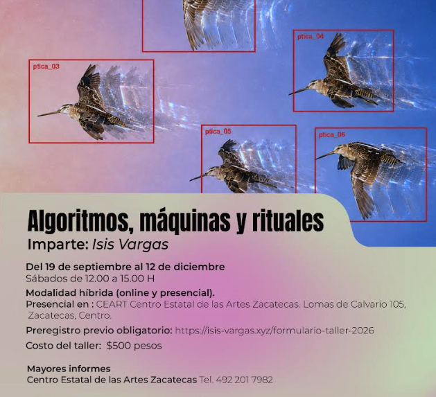Algoritmos, máquinas y rituales