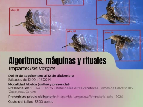 Algoritmos, máquinas y rituales