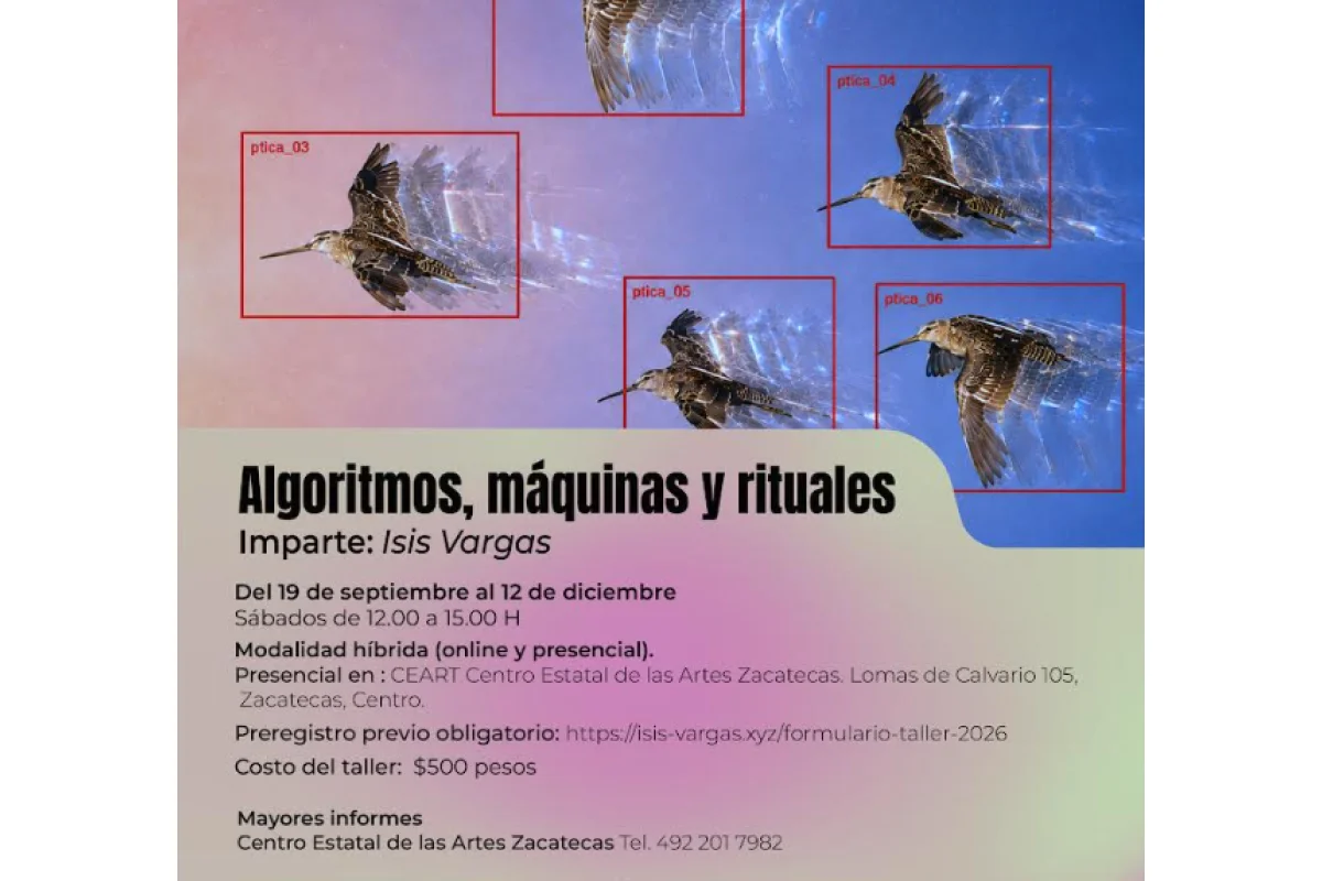 Algoritmos, máquinas y rituales
