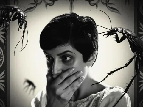 La resiliencia