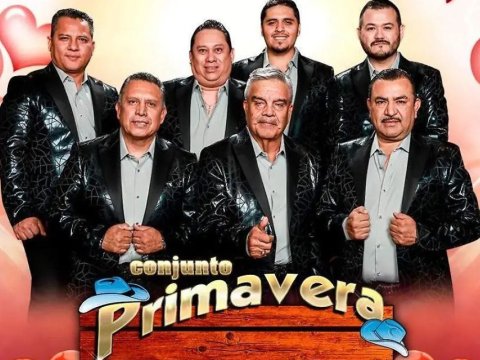Conjunto primavera