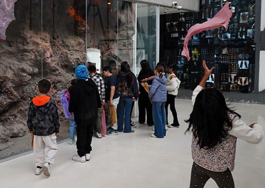 ¿Viernes de Consejo? ¡Viernes en el museo!
