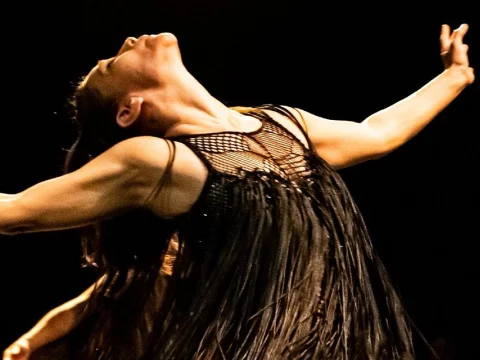 Danza UNAM: programación 2027