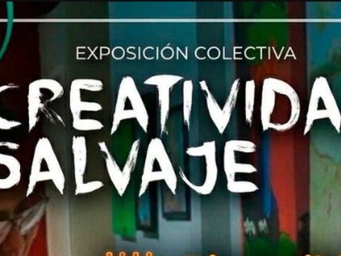 Creatividad Salvaje