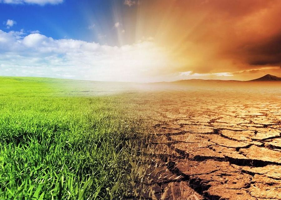 Ovnis, huracanes y futuro verde: ciencia ficción en tiempos de cambio climático