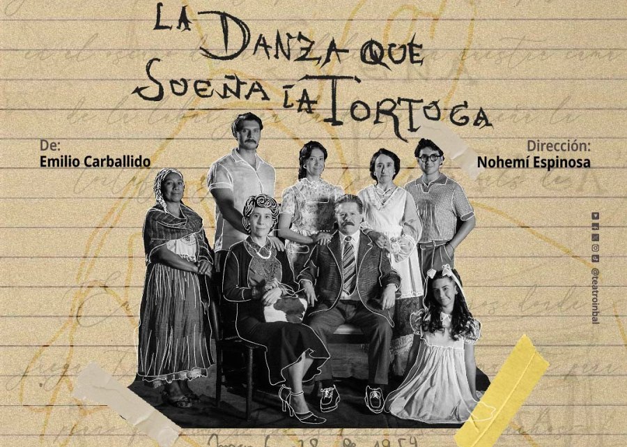 La danza que sueña la tortuga