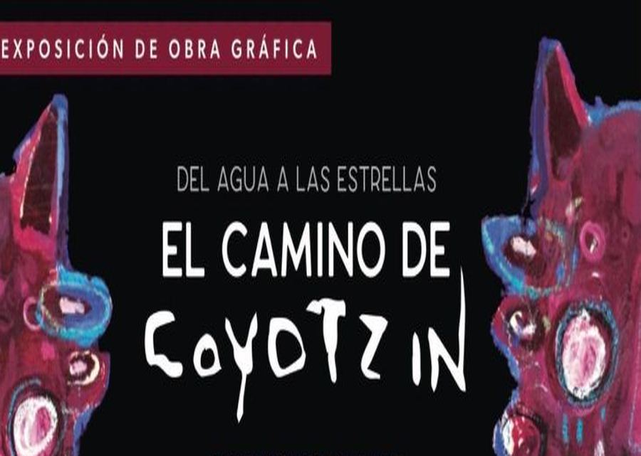 Del agua a las estrellas. El camino de Coyotzin
