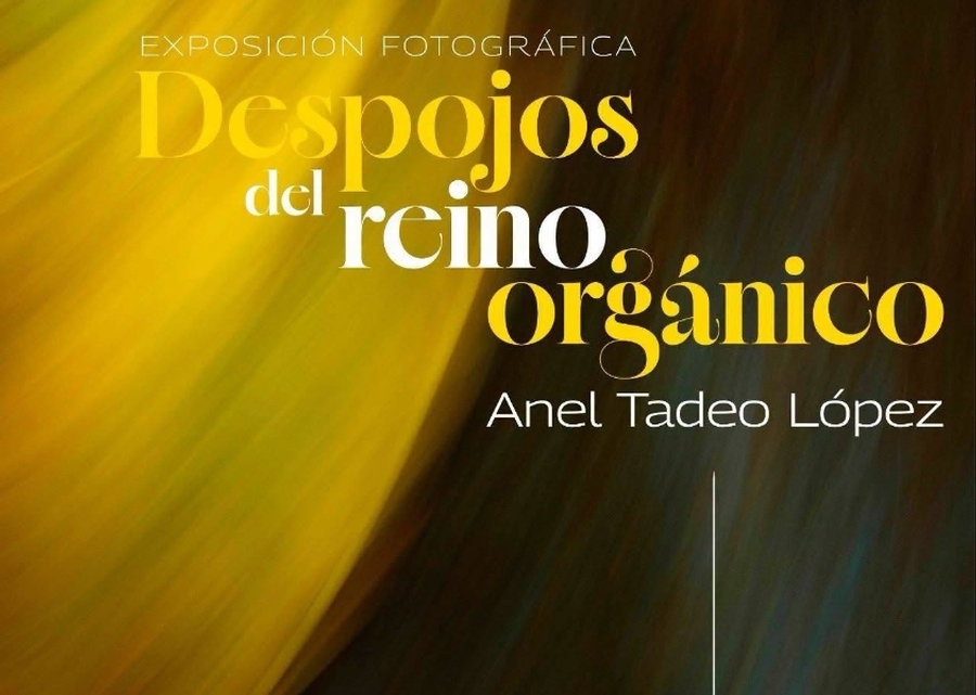 Despojos del reino orgánico