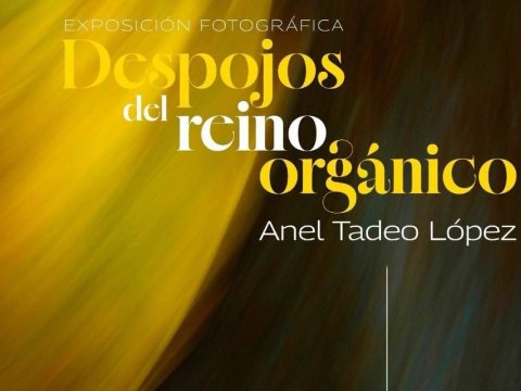 Despojos del reino orgánico
