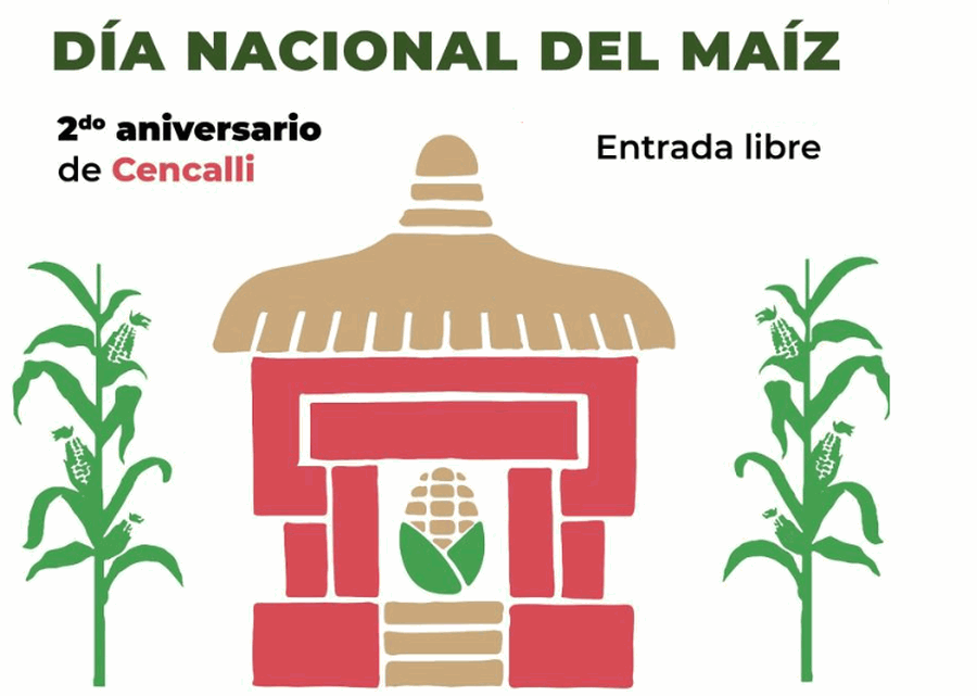 Del maíz a la tortilla