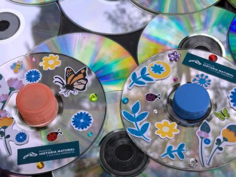 Trompos Florales