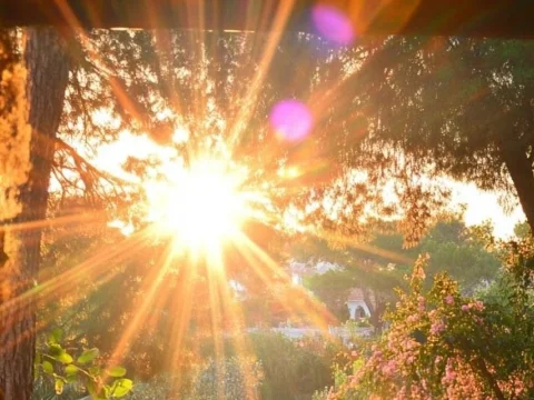 Donde vive la luz