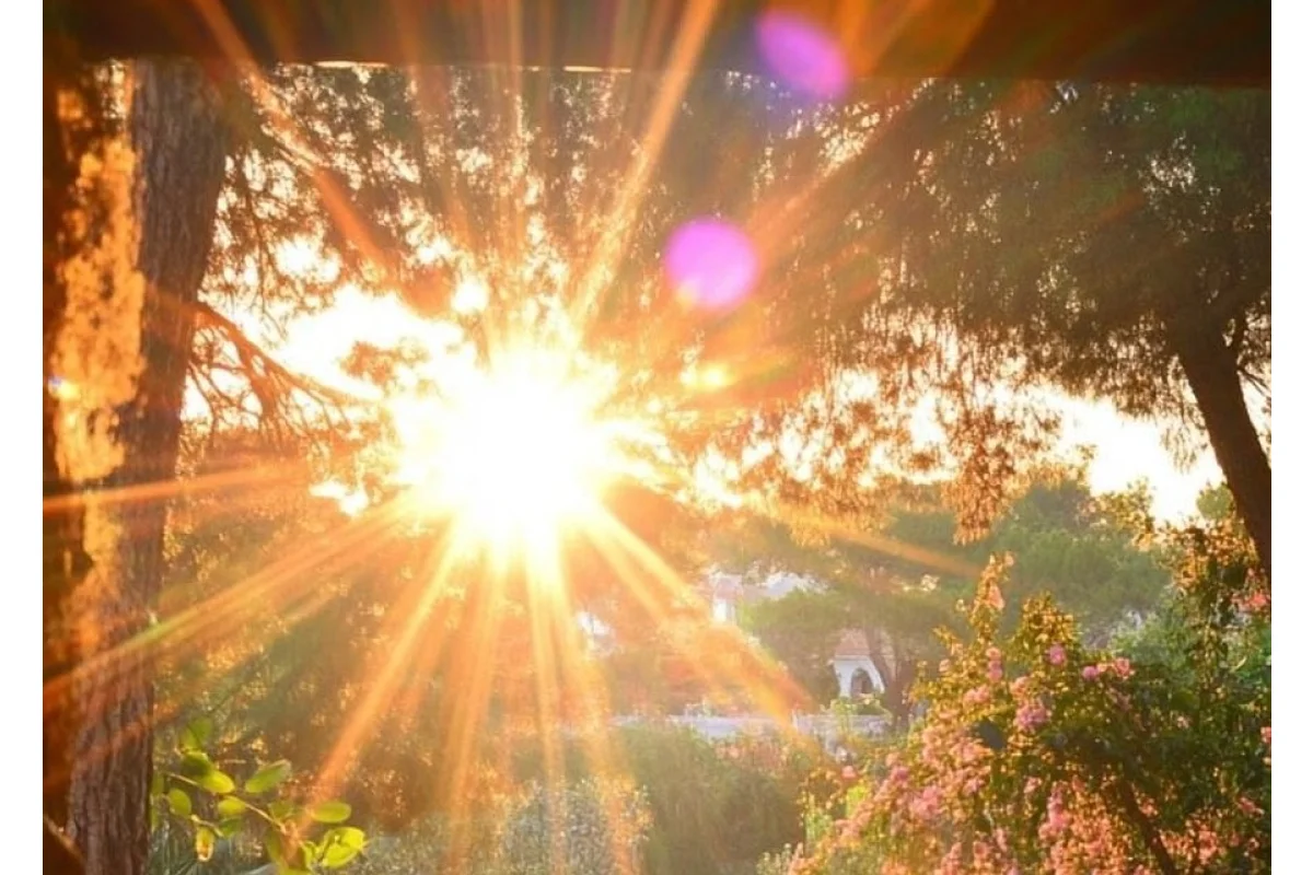 Donde vive la luz