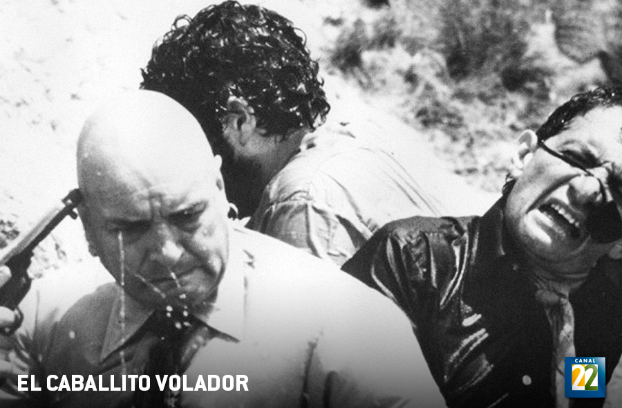 El caballito volador