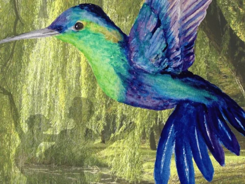 El colibrí