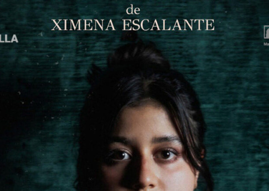 Electra Despierta