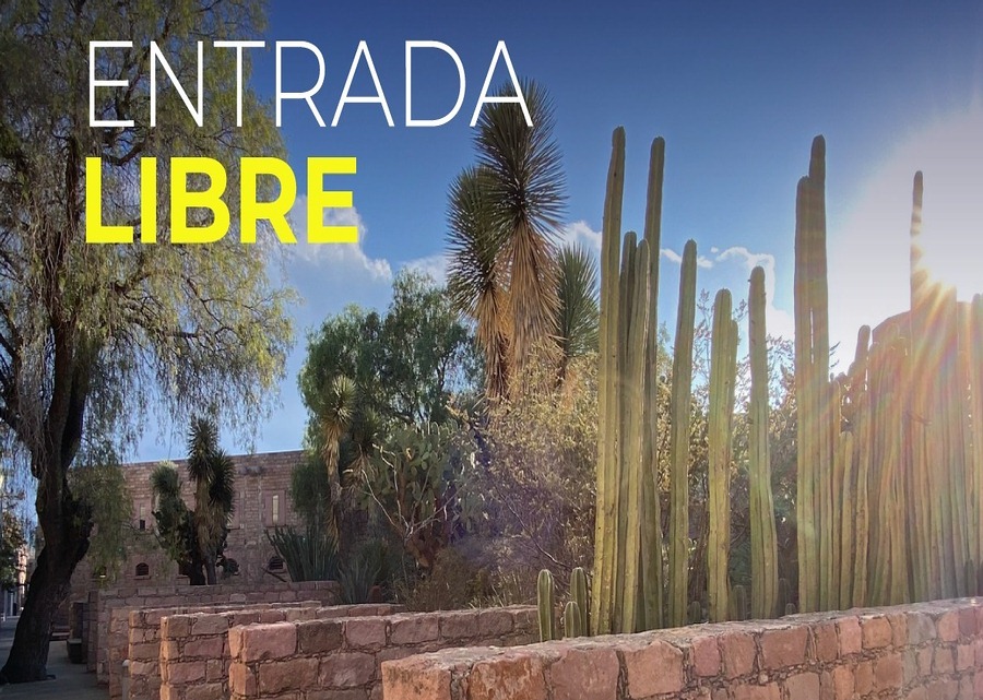 Visitas libres