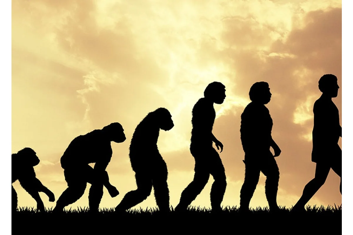 Mi encuentro con la evolución