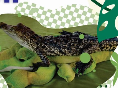 Exhibición de reptiles: El museo viviente