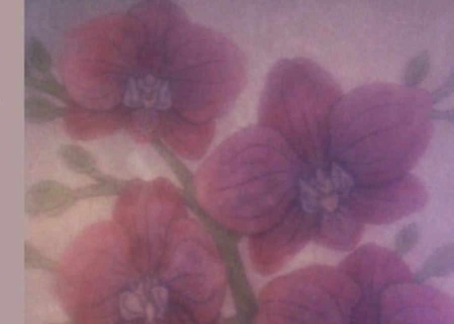 Flores y Tauromaquia