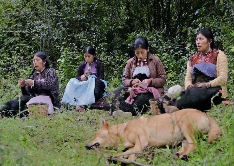 Formas de atravesar un territorio