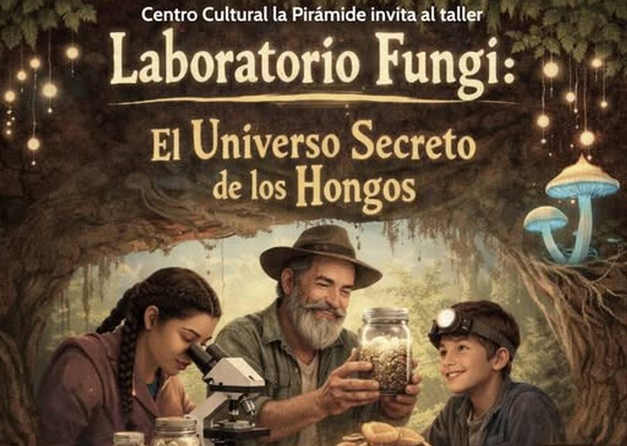 Laboratorio fungi
