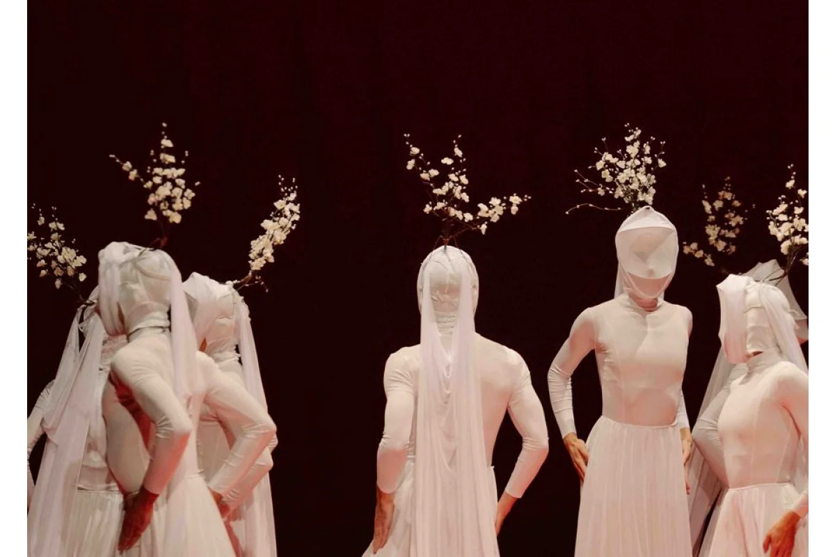 Giselle, las que no volvieron