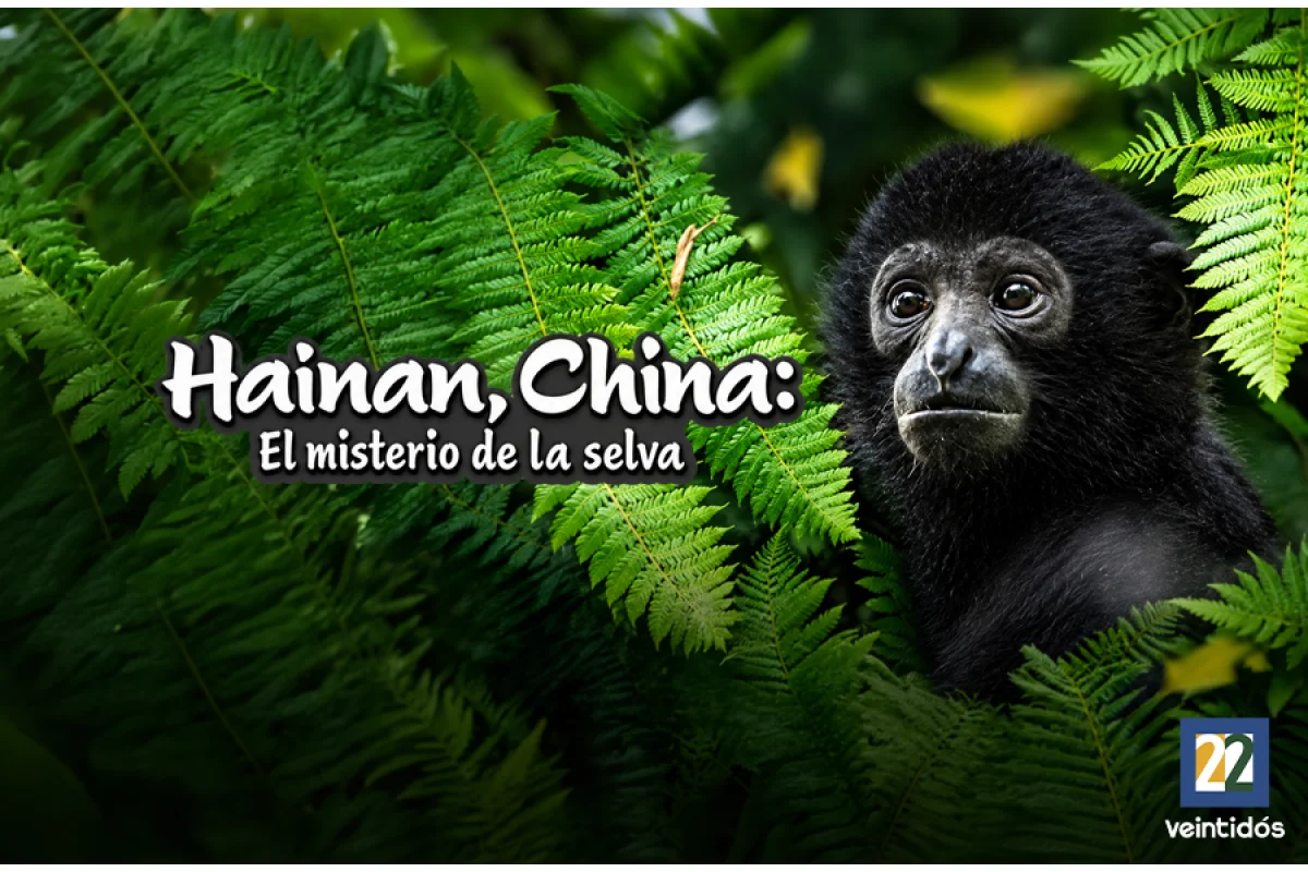 Hainan, China: El misterio de la selva
